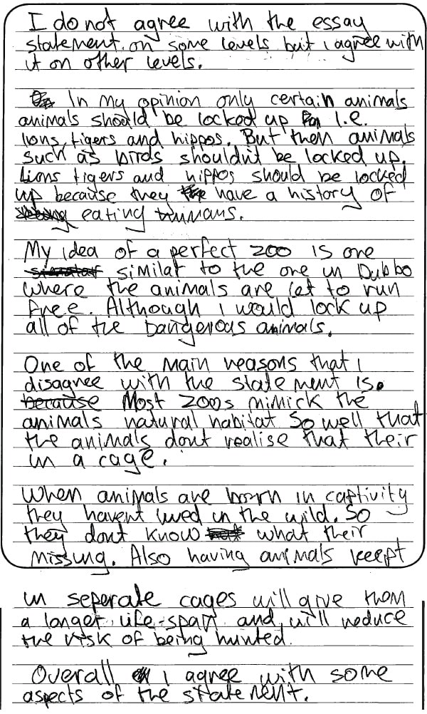 Student handwritten response